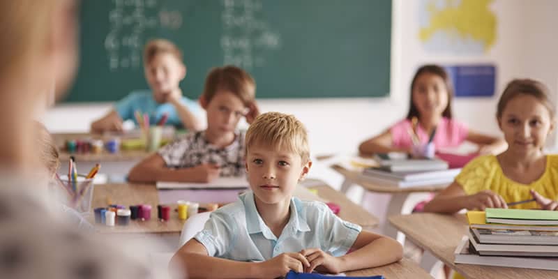 Projet pédagogique potager pour les écoles