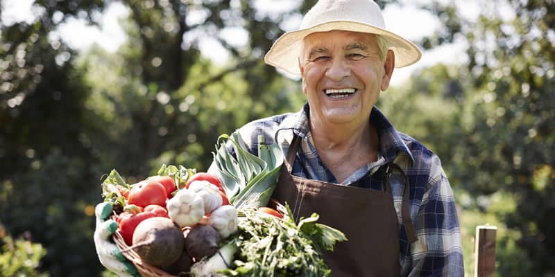 Projet pédagogique potager maisons de retraite